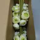 Giegxin 48 Pcs Ranunculus Artificial Flower,Real To Lifelike Peonies Artificial Flower Silk Faux DIY Bouquet for Wedding Bridal Shower Valentine Centerpieces Arrangements Home Decorations(White,Green)