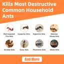48 PCS Ant Killer Gel Bait Stations, Extra Strengthen Ant Bait Traps, Long-Lasting Effective Pest Gel for Carpenter Ants and Other Common Household Ants, No Mess Easy Use, Safe for Pets and Kids