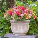 30 Bundles Fake Flowers for Outdoor Spring Summer Decoration Colorful Daisy Eucalyptus Realistic Artificial Plastic Plants for Home Planter Porch Window Box Yard