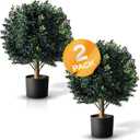 BOTARO TRESIL Set of 2 - Pre-Potted 24" High Ball Shaped Boxwood Topiary- 16" Diameter - Plastic Pot (23")
