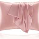 BEDELITE Satin Pillowcase for Hair and Skin, Super Soft and Cooling Similar to Silk Pillow Cases 2 Pack with Envelope Closure, Gift for Women Men(20"x30" Queen Size, Rose Pink)