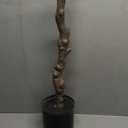 Green Indoor Floor Rubber Artificial Plant