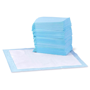Basics LeakProof Dog and Puppy Potty Training Pee Pads with QuickDry 5Layer Super Absorbent Design, Regular Size 22 x 22 inch, Blue & White, 100 Count