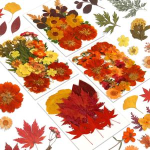 Augshy Fall Dried Pressed Flowers,100 Pcs Autumn Dried Flowers Leaves for Resin Molds Real Pressed Flowers for Crafts DIY Jewelry Molds, Scrapbooking, Candle (Orange)