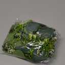 Dolicer 2 Packs 6FT Artificial Eucalyptus Garland, Faux Greenery Garland Hanging Fake Silver Dollar Eucalyptus Leaves Vines for Wedding Backdrop Arch Table Wall Party Home Decor