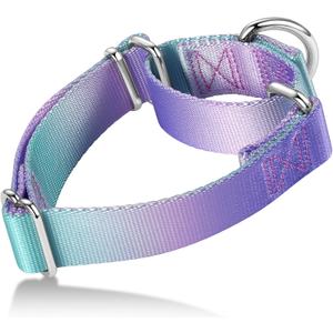 Martingale Dog Collar Colorful Gradient Fashionable - Anti-Escape Soft Durable Pets Collar for Walking Training Outdoor Daily Use -Large, Purple Green
