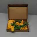 Artificial Carnation Silk Flowers - 15pcs Fake Orange Carnations with Stems for Home Decor, Wedding, Bridal Bouquet, Anniversary, Birthday and Floral Arrangements