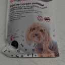 BellyGuard Recovery Suit for Dogs, Comfy Dog Surgery Suit, Female Spay and Male Neuter Onesie for Post-Op Care (Small, Grey)