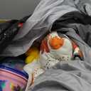 74" 50" Large Baby Playpen, Baby Playard for Babies and Toddlers, Play Pens for Indoor & Outdoor, Sturdy Safety Play Yard with Soft Breathable Mesh, Anti-Fall, Grey (with MAT)