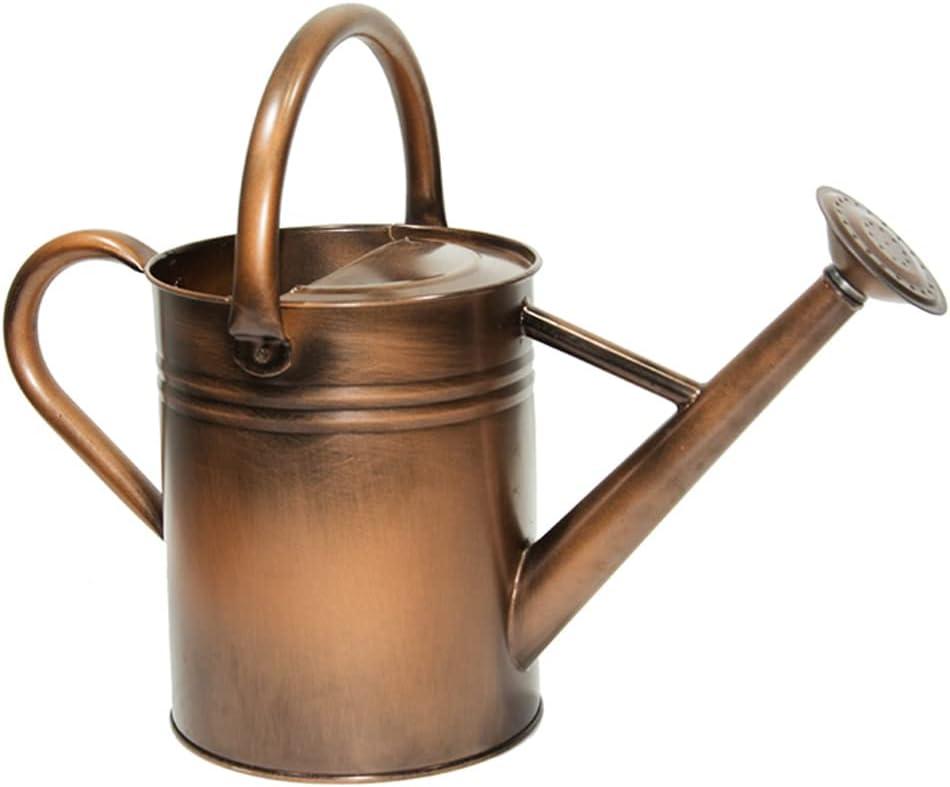 Yourjoy Galvanized Metal Watering Can, One Gallon Watering Cans for Outdoor Indoor Garden Plants Watering with Luminous Panit (Retro Coppery)