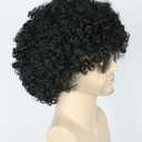 Black Afro Wig for Men or Women 70s 80s Disco Rocker Wig Costume Party Wigs