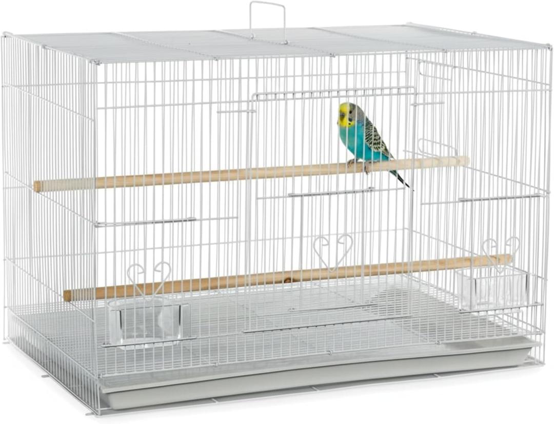 A&E Cage Co 503 White SP Flight Bird Cage 24" x 16" x 16" Small Bird Cage for Finches, Canaries & Parakeets Includes 2 Feeder Stations, Wood Perch, Slide-Out Tray & Carry Handle (White)