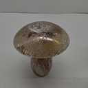 HD 9in Glass Texture Mushroom