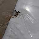 BARNSMITH 30x80 in 1-Panel White Primed Molded Door Slab, Shaker Style Paintable Hollow Core Interior Door Panel, for Pocket, Swing, Sliding Door, Durable and Lightweight, No Assembly Required