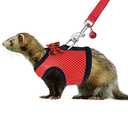 Rypet Small Animal Harness and Leash - Soft Mesh Pet Harness with Safe Bell, No Pull Comfort Padded Vest for Small Pet Red