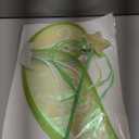 Fairy Wings Butterfly Costume for Girls Halloween Cosplay Dress Up Fairy Costume with Wand (Green)