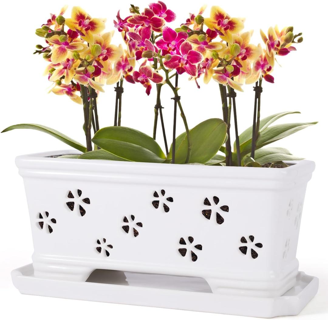 Orchid Pot with Holes and Saucer - 12*6.3*5.3Inch Ceramic Large Pot Basin for Refilling - Indoor and Outdoor Use - Air Circulation
