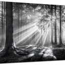 Trogonup Black and White Misty Forest Wall Art for Living Room Trees Large Nature Canvas Artwork for Bedroom Office Home Decor Ready to Hang 20"x40", 20L" x 40W"