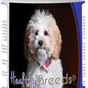 Healthy Breeds Cockapoo Hip and Joint Care 120 Count
