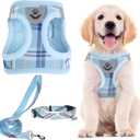 PUPTECK Adjustable Dog Harness Collar and Leash Set Step in No Pull Pet Harness for  Dogs Puppy and Cats Outdoor Walking Running, Soft Mesh Padded Reflective Vest Harnesses, Blue L