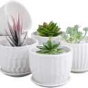 Brajttt Flower Pots, 4 Inch Cylinder Ceramic Plant Pots with Connected Saucer, Mini Ceramic Planters for Succulent and Little Snake Plants (6 Pack, White)