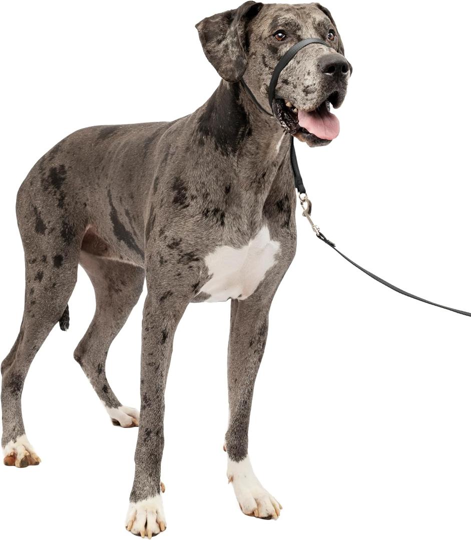 PetSafe Gentle Leader Headcollar No-Pull Dog Collar - Helps Improve Walks - Durable Nylon Construction - Padded Nose Loop - Adjustable Fit - Comfort Walking Halter - X-Large, Black