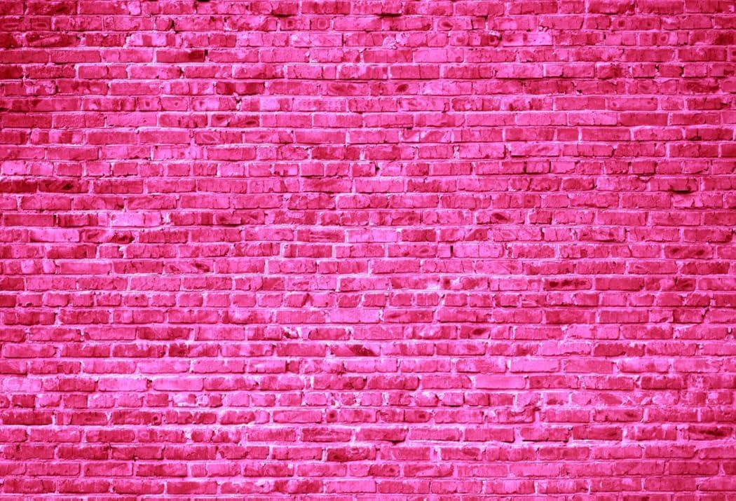 AOFOTO 8x6ft Pink Brick Wall Backdrop Hot Pink Stone Brick Background for Girl Princess Kids Baby Shower Birthday Party Table Decoration Banner Wedding Artistic Portrait Wallpaper Photo Shoot Props