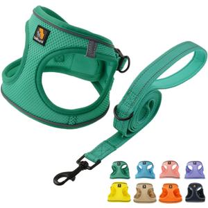 BELLA & PAL Step in Vest Harness for Small and Medium Dogs, No Pull Small Dog Harness with Leash Set, Comfortable Air Mesh Dog Vest Harness with Reflective Strip (Emerald, L)