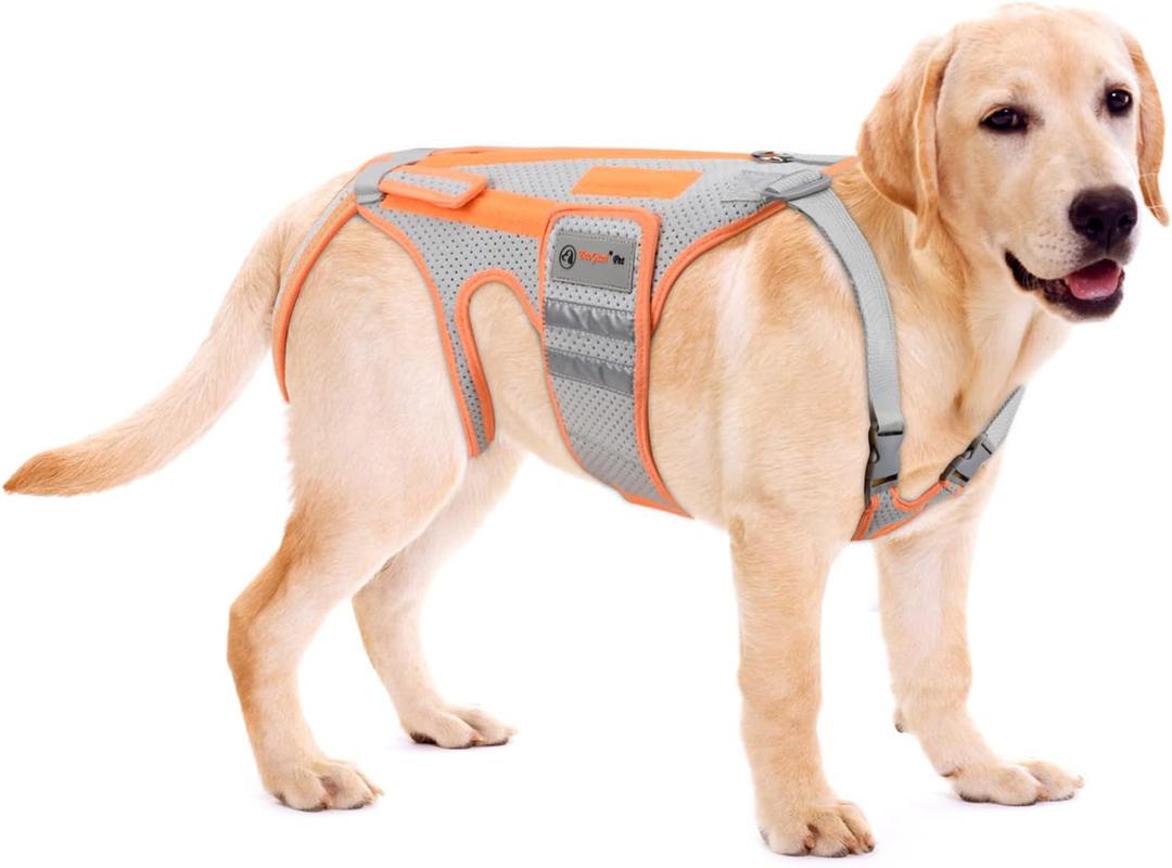Dog Back Brace for Arthritis, Dog Hip Brace for IVDD, Frame Support Harness for BackKeeps The Back Stable and Reduces Movements and PainsM