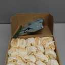 Artificial Peonies Flowers Bulk, 50Pcs 4 Champagne Peonies Faux Silk Peony Heads for Table, Fake Flowers Arrangements for Wedding, Valentine, Engagement, Office, Coffee, Dining Decorations