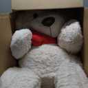 MaoGoLan Big Teddy Bear 5 Feet Tall - I Love You Red Heart Giant Stuffed Animal for Girlfriend, Boyfriend, Wife, Lover - Valentine's, Anniversary, Birthday