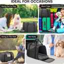 JUNGYOUN Premium Cat Carrier - Pet Carrier for Cat & Small Dogs up to 15lbs - Airline Approved Travel Dog Carrier with Anti-Escape Zippers, Collapsible Travel Bowl & Padded Strap