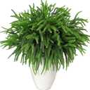 Consevisen Norfolk Pine Stems, 24 Inch Realistic Touch Artificial Pine Branches, 9-Branch Full Faux Christmas Greenery Picks for Vases Cedar Wreaths Garland Indoor Outdoor Christmas Decoration, 6Pcs