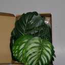 Jungle Party Decorations, 78 Pieces 8 Kinds Artificial Palm Leaves Green Tropical Leaves with Stems Jungle Leaves Decorations Palm for Hawaiian Luau Party Jungle Beach Table