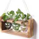 Plant Terrarium Propagation Stations Hydroponics Home Garden Decoration Gift for Women with Wooden Stand Heart Shaped Colored Glass Vase