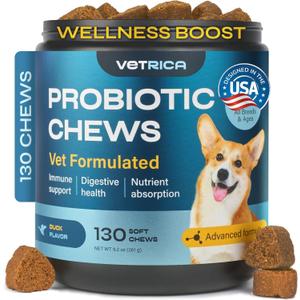 Chews for Digestive and Gut Health, Probiotics for Dogs - Chewable Canine Immune System Supplement - Prebiotic Soft Treats - Yeast Powder, Wild Yam (130 count)