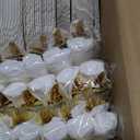Nervure 350PCS Ivory Plastic Plates - Ivory Gold Plastic Dinnerware Sets for 50 Guests - 100 Gold Disposable Plates, 50 Pre Rolled Silverware Sets, 50 Cups Perfect for Wedding & Party & Mothers Day