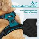 rabbitgoo Dog Harness No Pull with 2 Leash Clips, Adjustable Soft Padded, Reflective Oxford No Choke Pet Vest with Easy Control Handle for Large Dogs, Blue Coral, L