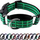 Hikiko Martingale Dog Collars Reflective Nylon Dog Collar with Quick Release Buckle Adjustable Training No Slip Dog Collar (Medium, Green)