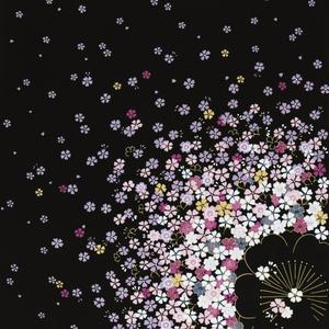 Japanese wrapping cloth Tango-chirimen FUROSHIKI 68cm Sakura[Japan import]