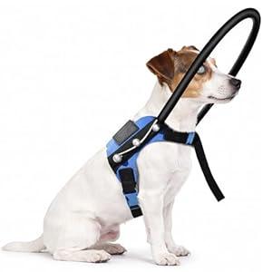 LetPetRun Blind Dog Halo Harness with Protective Collar, Adjustable Guiding Device for Visually Impaired Pets, Helping Visually Impaired Pets Move Safely and Confidently (9.5-13.5In)