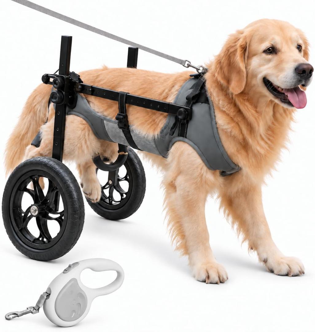 Large Dog Wheelchair for Back Legs (XXL: 110-200 lbs), Adjustable
Heavy-duty Construction; Breathable Air Mesh Harness; All-terrain Wheels; Foldable; Includes Traction Rope