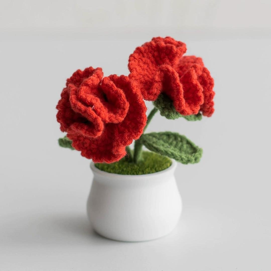 2 x Crochet Flowers Cute Potted Flower Birthday Teachers Day Graduation Anniversary Christmas Valentines Decor for Car Dashboard Home Office Decoration (Red Gorgeous Carnation)