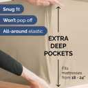 Extra Deep Queen Sheet Set - 6 Piece Breathable and Cooling Sheets - Hotel Luxury Bedding for Women, Men, Kids & Teens - Easy & Secure Fit - Soft, Wrinkle Free and Comfy - Extra Deep Pockets - Cream