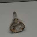 Nautical Brass Wall Mounted Hanging Bell with Rope, Marine Dinner Bell Antique Polished Finish, Solid Brass Indoor Outdoor Bell for Home Decor, Reception, School, Church, Farmhouse Decoration (2 Inch)