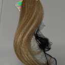 REECHO Invisible Wire Hair Extensions with Thinner Softer Lace Weft 12" Short Straight Clips in Secret Hairpiece for Women 12 Inch (Pack of 1) - Honey Blonde with Highlights