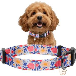 3 x Kazazoo Dog Collar Cute and Soft Nylon Puppy Collar Girl, Adjustable Dog Collars for Small Medium Dogs, Blue and Pink Flowers-S