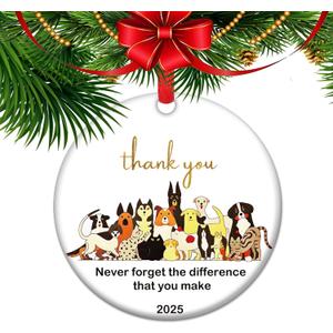 Thank You Teacher Appreciation Gifts, Never Forget The Different You Make, Christmas Ornament, End of Year Teacher Appreciation (C13)