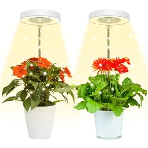 Juhefa Grow Light for Indoor Plants Growing, 4000K Full Spectrum Halo Plant Lamp for Seedlings Succulents Small Mini Plants, 3 Colors Spectrum Changeable & Auto On Off Timer 4/8/12/18Hrs (2 Pack)