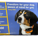 PetSpy Freedom For Your Dog Peace Of Mind For You